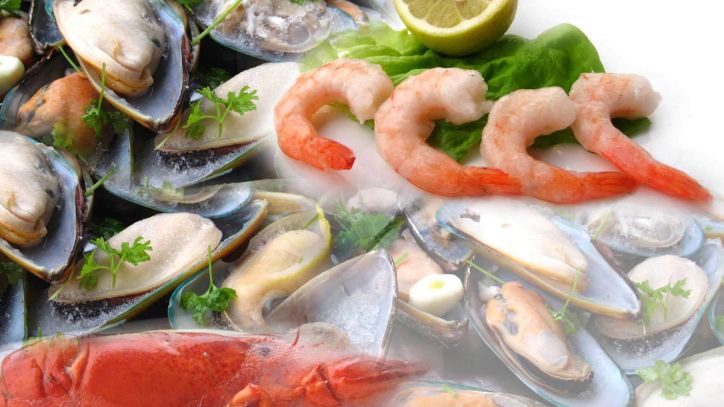 Wissenswertes und einfache Handgriffe für die Zubereitung von Hummer, Muscheln und Pulpo für Ihr Kochrepertoire.  Kochkurs Mehr aus dem Meer — Köstliche Meeresfrüchte
