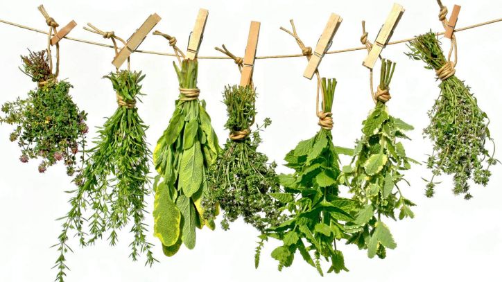 ...machen den großen Unterschied! Wir zeigen Ihnen, wie Sie Ihre Gartenkräuter am besten verarbeiten können.  Kochkurs Kräuter und Gewürze