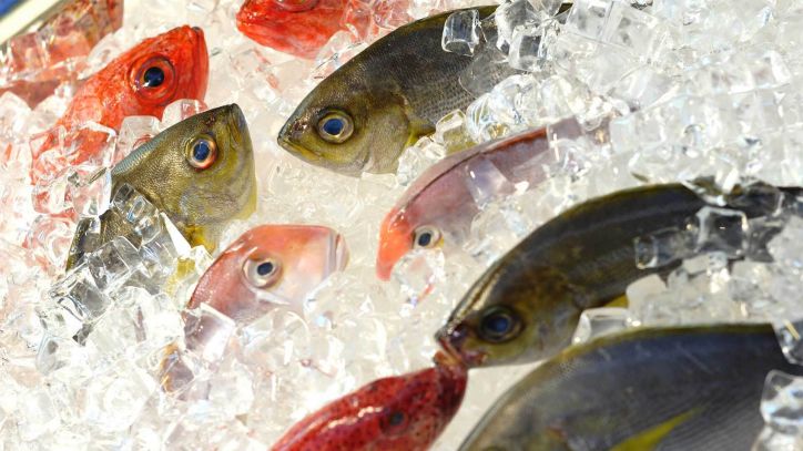 Wir filetieren Platt-und Rundfische, braten, dünsten und pochieren mit asiatischem, italienischem oder klassischem Flair.   Kochkurs Butter bei die Fische